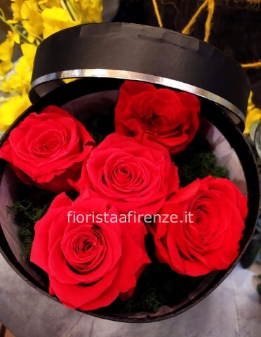 Scatola con coperchio, 5 rose stabilizzate e base in muschio