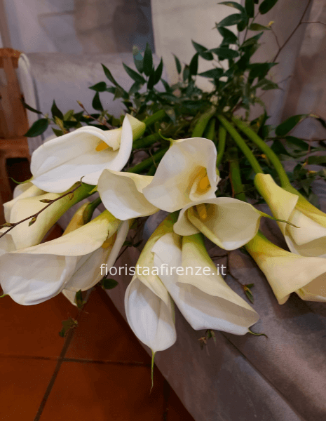 Mazzo di calle bianche (15 steli) più verdi di stagione